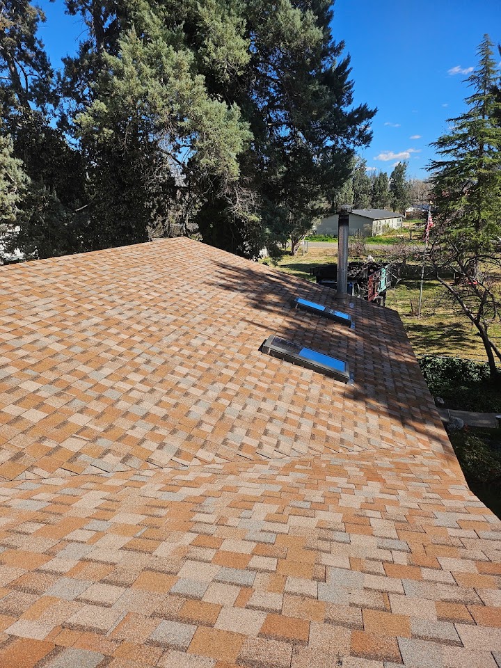 Hale's Roofing project